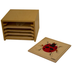 Insect Cabinet with 5 Life Cycle Puzzles