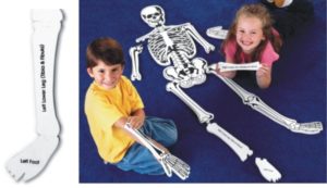 Skeleton Floor Puzzle 130cm (15pcs)-0
