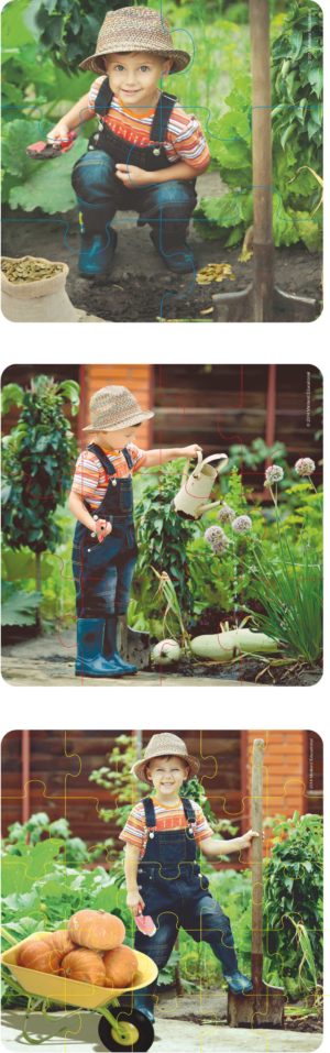 Progressive Plant Life Flexi Puzzles Set of 3-0