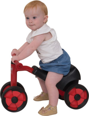 Little Gem Toddler Trike-0