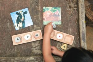 3-Pebble Wordbuilding Tray (6pcs)-0