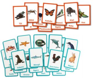 Animals of New Zealand Memory Cards Set (96pcs)