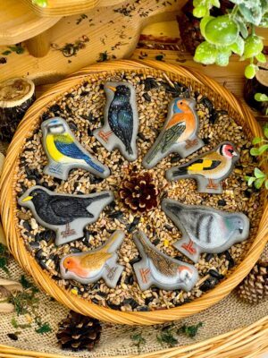 Sensory Stones - Birds (8pcs)