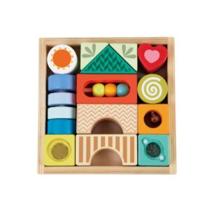 Sensory Explorer Blocks (15pcs)