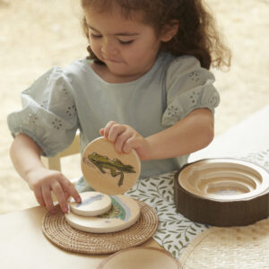 Lifecycle Puzzle Set (3pcs)